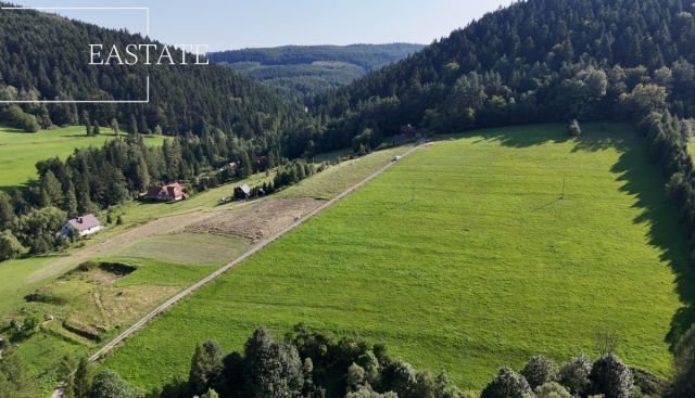 Działka inwestycyjna Kamianna. Zdjęcie 4