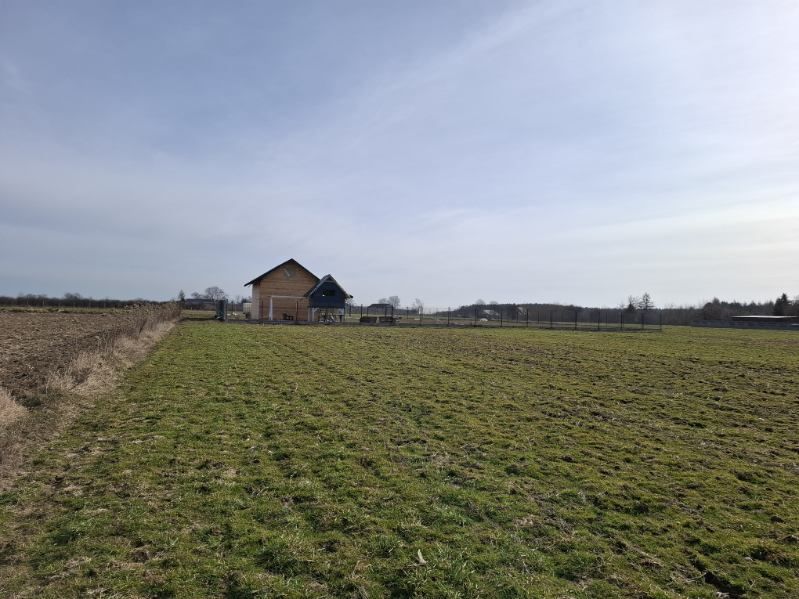 Działka budowlana Załuski, Stokrotki. Zdjęcie 5