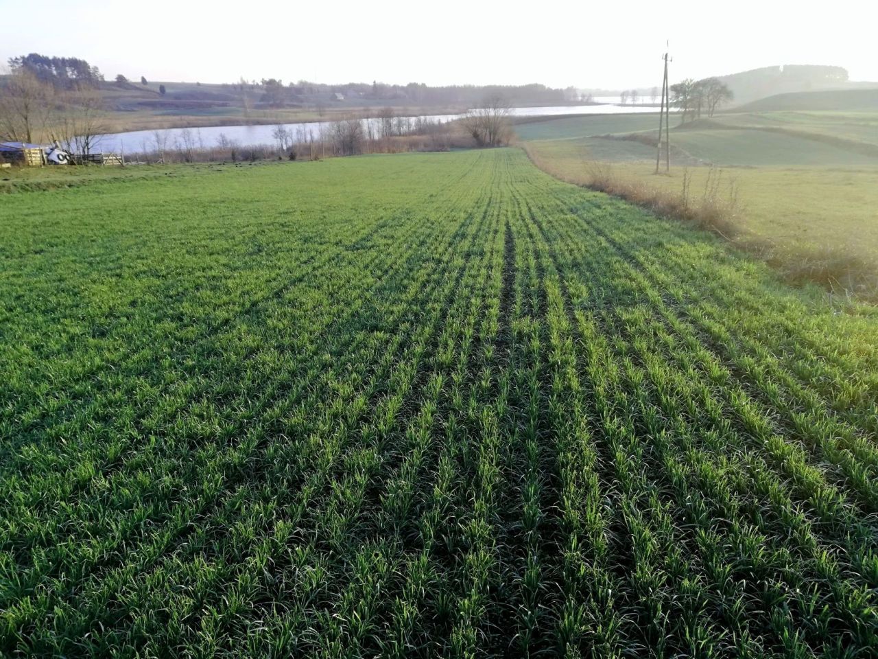 Działka budowlana Żegary. Zdjęcie 7