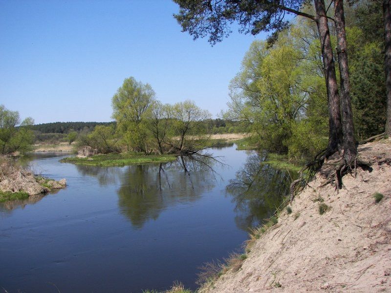 Działka budowlana Mszano. Zdjęcie 6