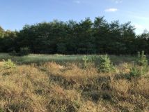 Działka rekreacyjna Julia. Zdjęcie 2