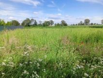 Działka budowlana Bieganowo