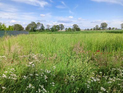 Działka budowlana Bieganowo