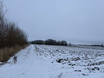 Działka budowlana Szyleny Szyleny-Kolonia. Zdjęcie 4