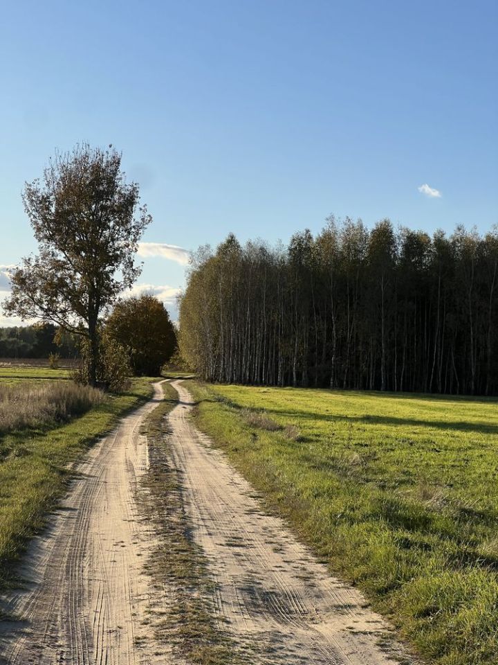 Działka leśna Marianka. Zdjęcie 3