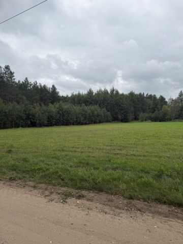 Działka rolno-budowlana Patryki. Zdjęcie 1