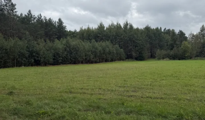Działka rolno-budowlana Patryki