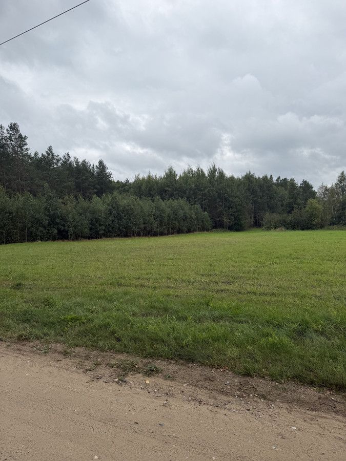 Działka rolno-budowlana Patryki. Zdjęcie 1