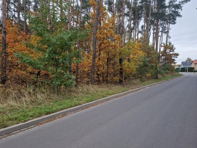 Działka rolno-budowlana Wołomin Helenówka. Zdjęcie 4