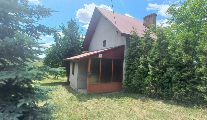 dom wolnostojący Celiny