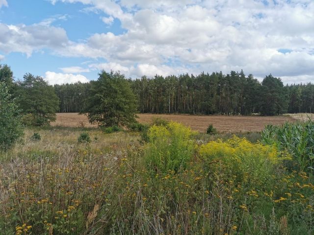 Działka budowlana Dolnik. Zdjęcie 19