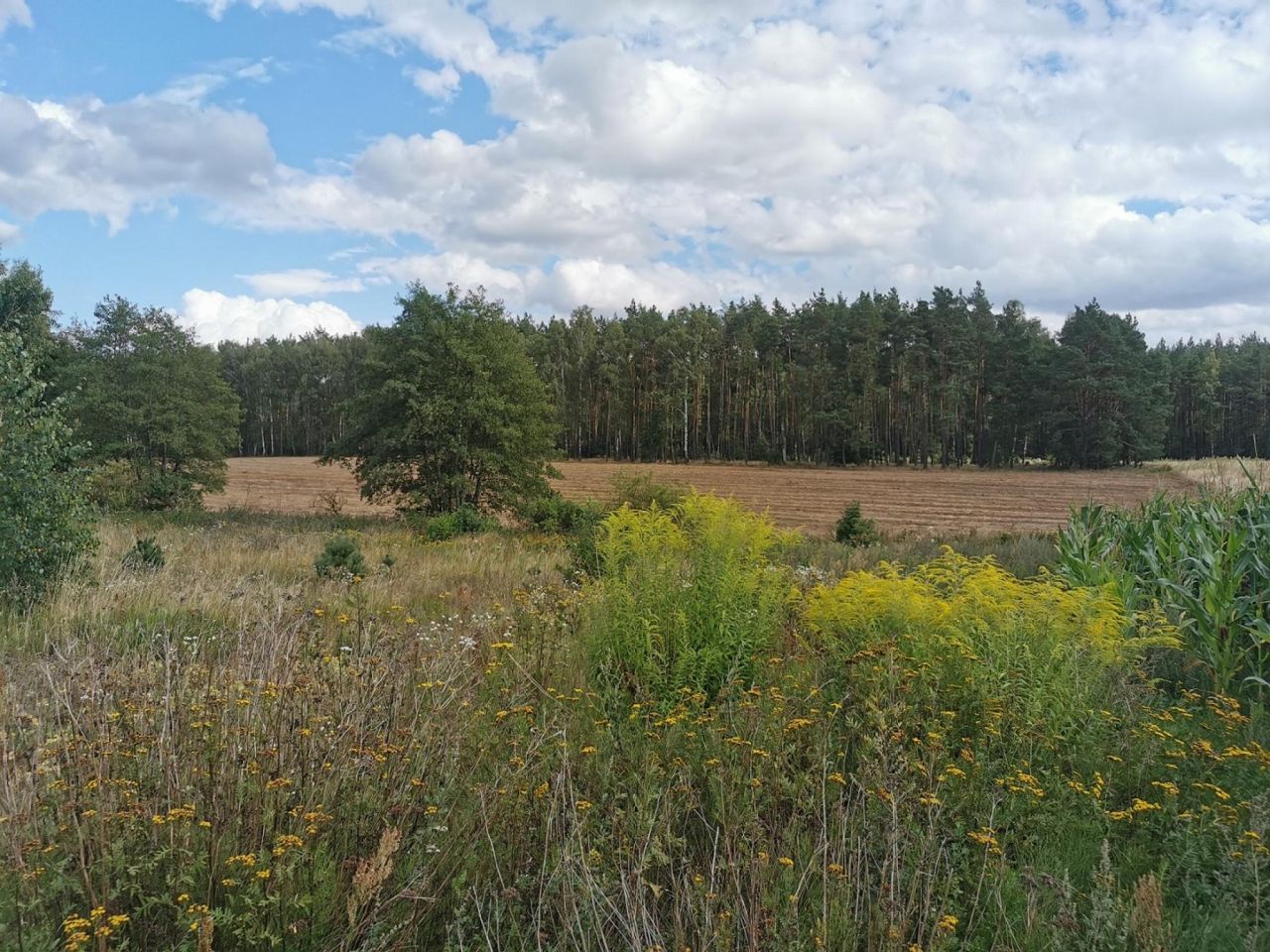 Działka budowlana Dolnik. Zdjęcie 19