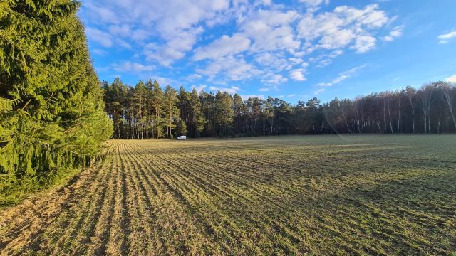 Działka budowlana Bysław, ul. Leśna Polana. Zdjęcie 1