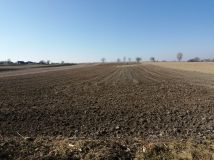 Działka rolno-budowlana Depułtycze Królewskie-Kolonia. Zdjęcie 1