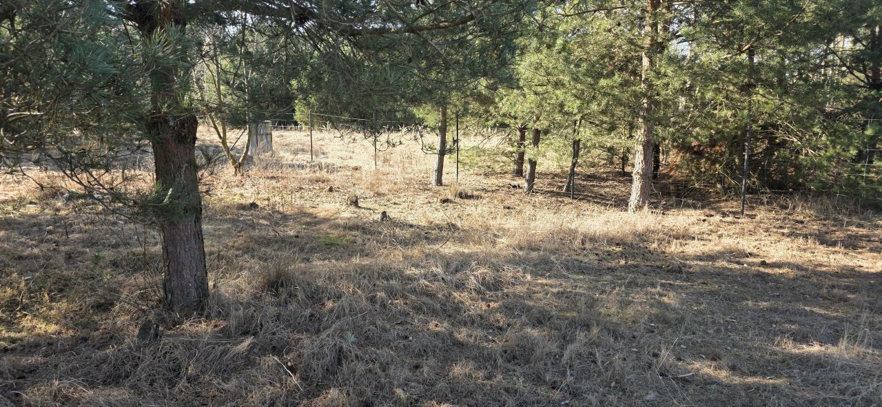 Działka budowlana Sokolniki, ul. Sierpecka. Zdjęcie 16