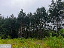 Działka budowlana Piotrkowice. Zdjęcie 2