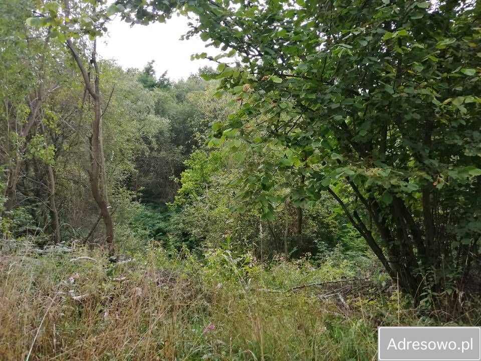 gospodarstwo Turza. Zdjęcie 7