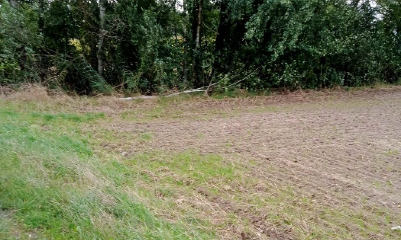 Działka inwestycyjna Dębina, ul. Polna. Zdjęcie 6