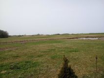 Działka rolno-budowlana Duba. Zdjęcie 2