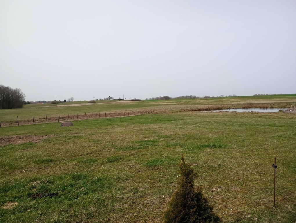 Działka rolno-budowlana Duba. Zdjęcie 3