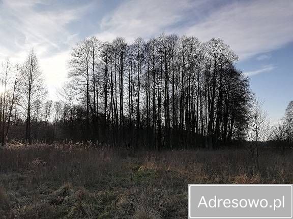 Działka rolna Kuskowizna