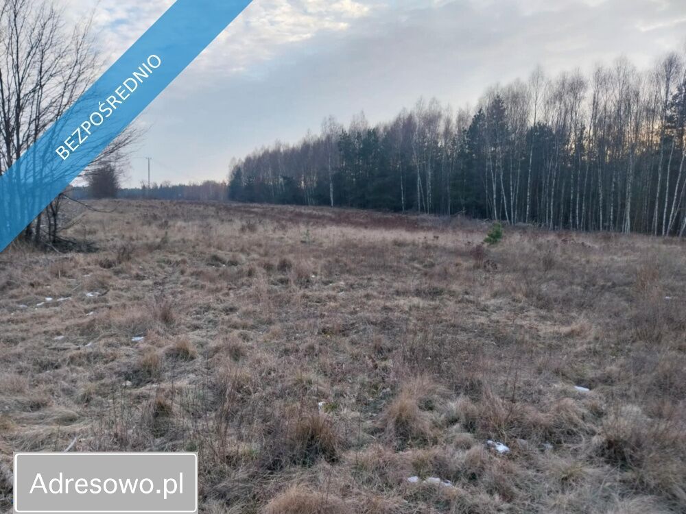 Działka rolna Marysin. Zdjęcie 7