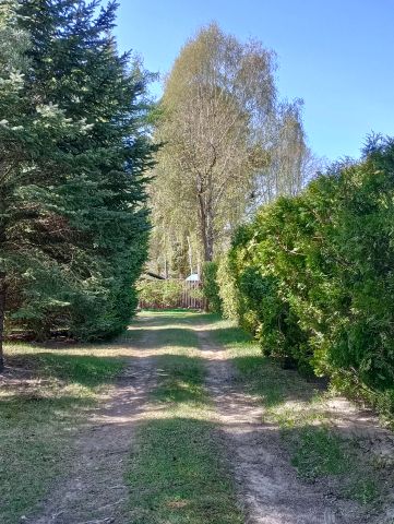 dom wolnostojący, 2 pokoje Arciechów Myszyniec, ul. Orzechowa. Zdjęcie 5