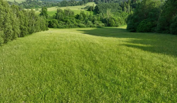 Działka budowlana Hoszów