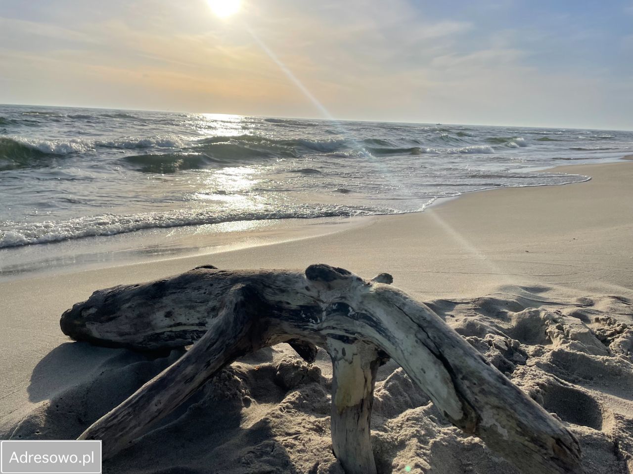 Hotel/pensjonat Jastrzębia Góra. Zdjęcie 17
