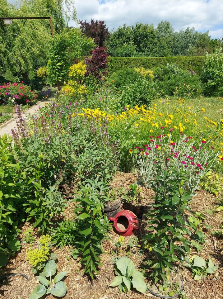 Działka rod Śrem, ul. Józefa Chełmońskiego. Zdjęcie 6
