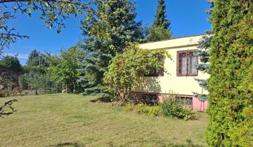 Działka rod Łódź Olechów, ul. Zakładowa