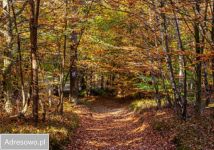 Działka budowlana Kiełkowice, ul. Więcki. Zdjęcie 4