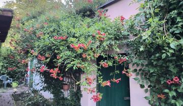 Działka rekreacyjna Katowice Załęże