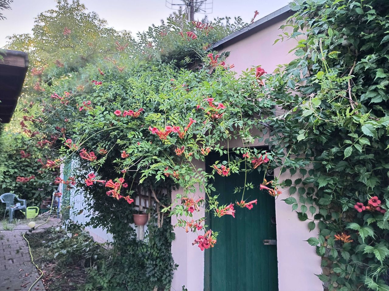 Działka rekreacyjna Katowice Załęże. Zdjęcie 2