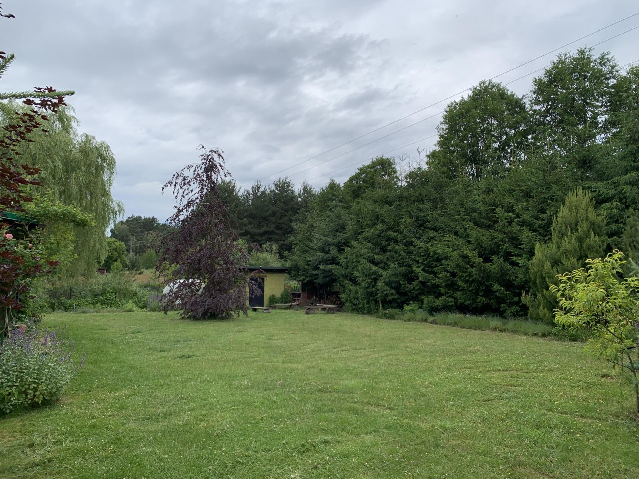 Działka budowlana Jodłów. Zdjęcie 2