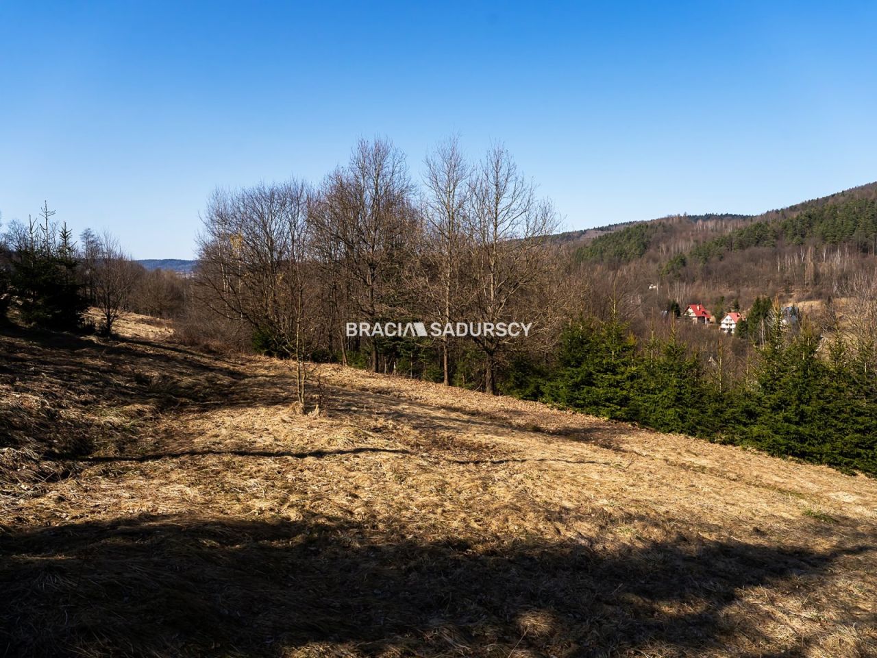 Działka budowlana Stróża. Zdjęcie 18