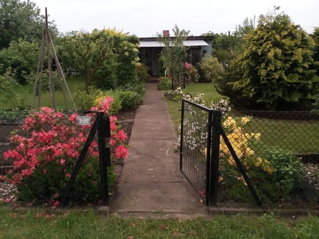 Działka rod Ostrów Wielkopolski. Zdjęcie 3