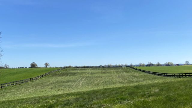 Działka rolno-budowlana Jabłonowo. Zdjęcie 1