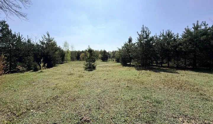 Działka budowlana Ostrów, ul. Szafirkowa