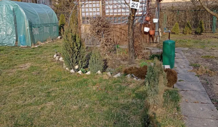 Działka rod Ostrowiec Świętokrzyski, ul. Bolesława Prusa