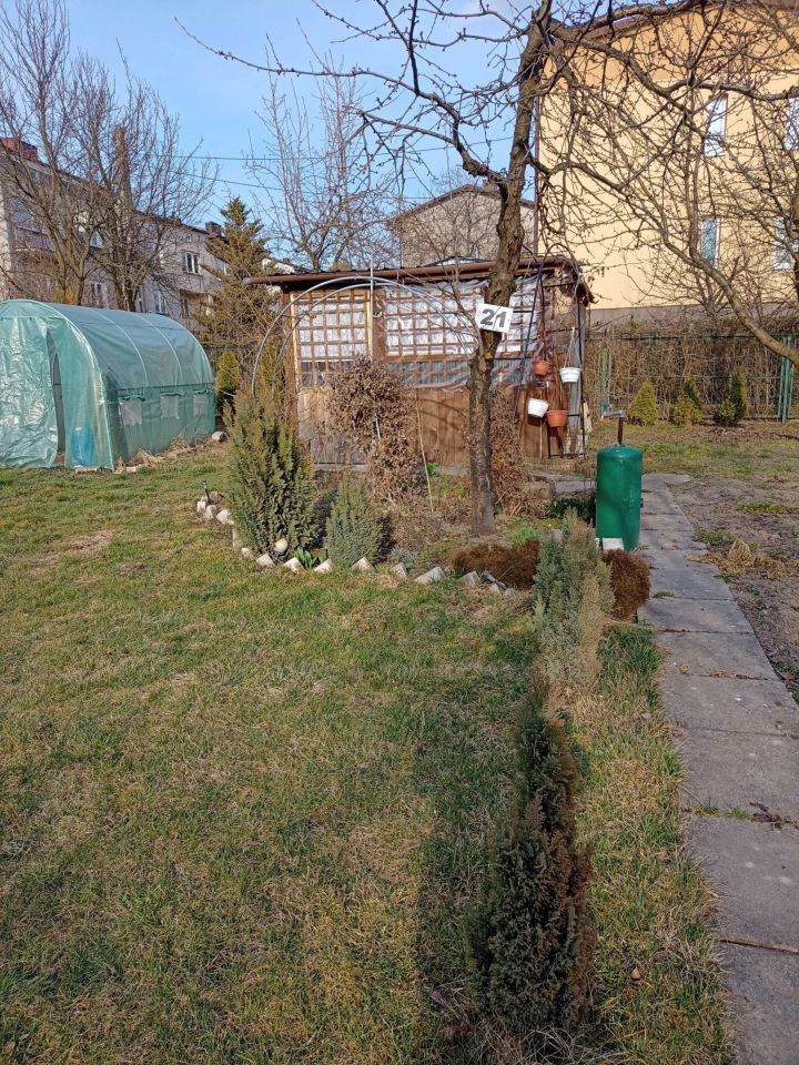 Działka rod Ostrowiec Świętokrzyski, ul. Bolesława Prusa. Zdjęcie 1