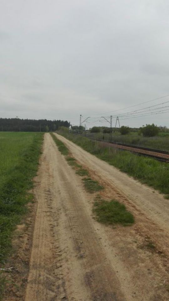 Działka leśna Bałdrzychów. Zdjęcie 2