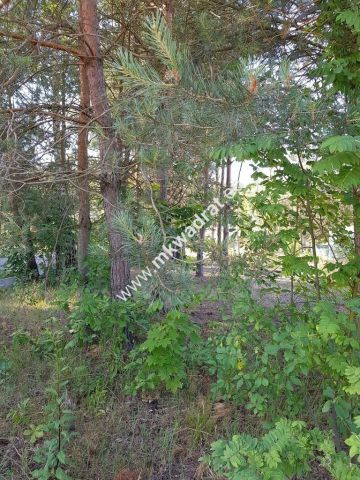 Działka budowlana Jesionka. Zdjęcie 2