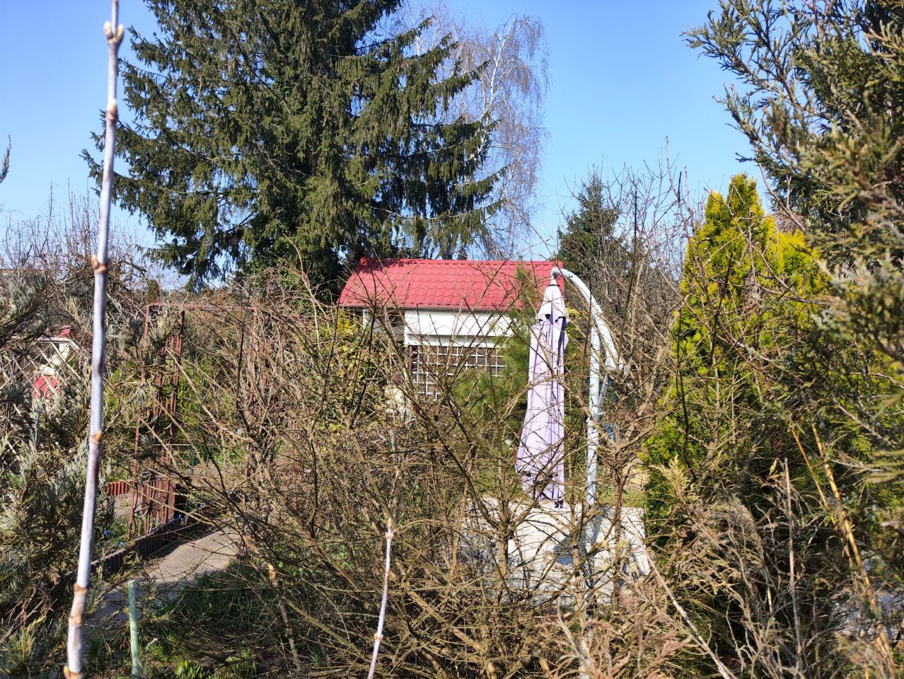 Działka rod Toruń Bielany, szosa Okrężna. Zdjęcie 3