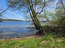 Działka rolna Swornegacie. Zdjęcie 2