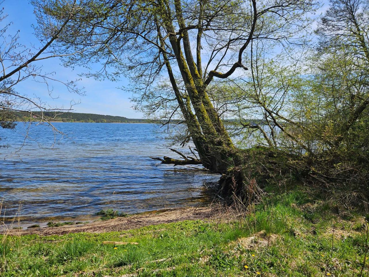 Działka rolna Swornegacie. Zdjęcie 3