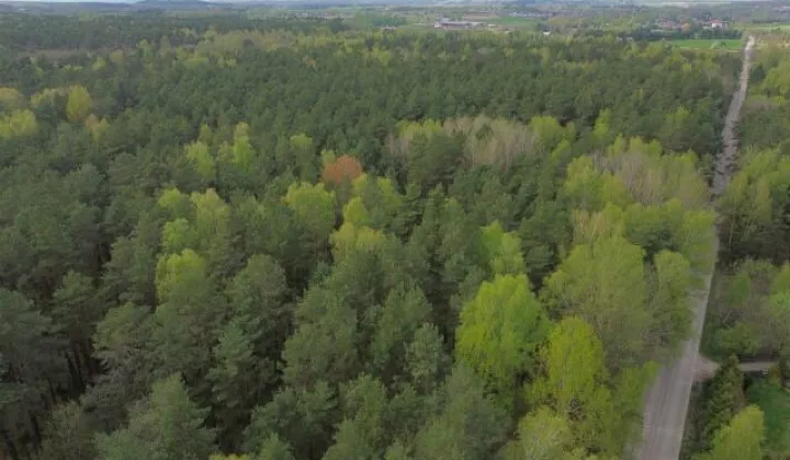 Działka Barszczewo