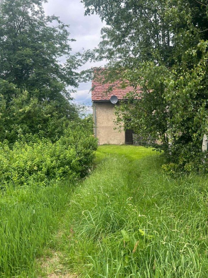 Działka budowlana Henryków Lubański. Zdjęcie 2