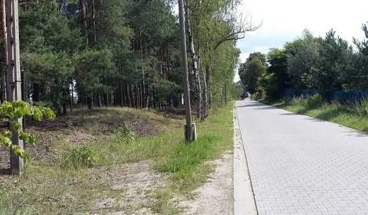 Działka leśna Jarużyn