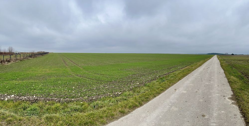 Działka budowlana Trzciniec. Zdjęcie 8